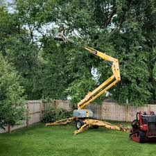 Best Tree Mulching  in Rockwell Place, TX